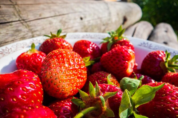 Nahaufnahme von Erdbeerernte, die auf einer Platte auf ländlichen Holztreppen liegen Das Konzept der gesunden Nahrung Vitamine Landwirtschaft Erdbeermarktverkauf