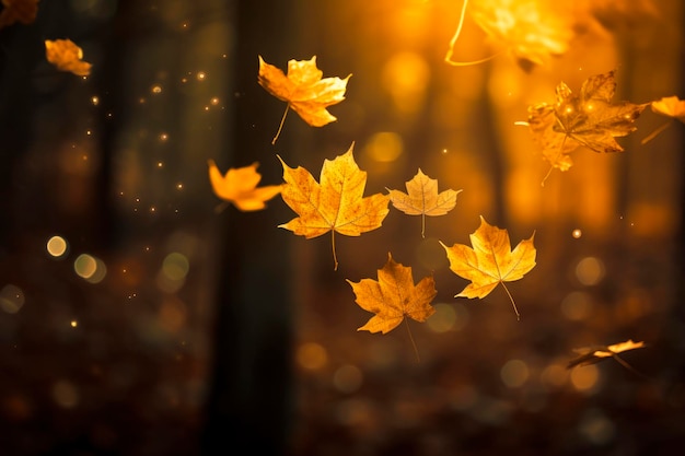 Nahaufnahme von erstaunlichen fallenden goldenen Ahornblättern im Waldhintergrund