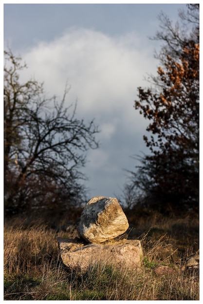 Nahaufnahme von Felsen auf dem Feld gegen den Himmel