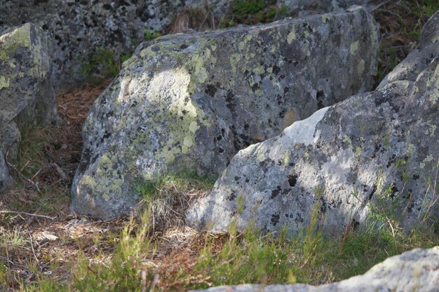 Foto nahaufnahme von felsen