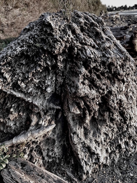 Foto nahaufnahme von felsen