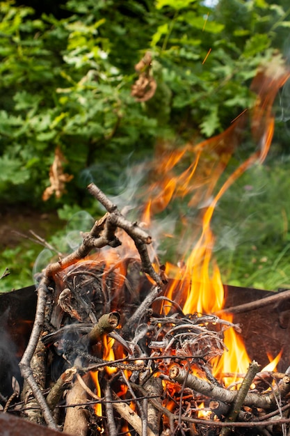 Nahaufnahme von Feuer gegen Bäume