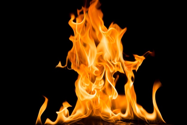 Nahaufnahme von Feuer vor schwarzem Hintergrund