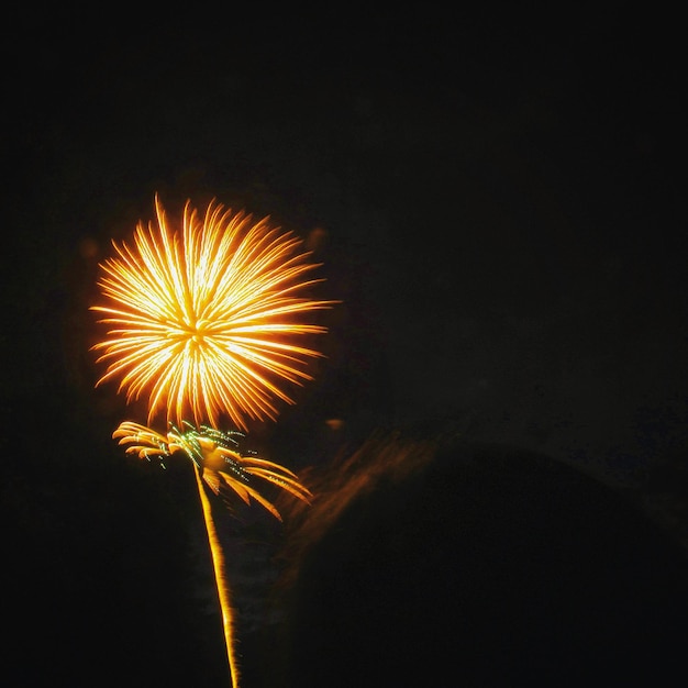 Nahaufnahme von Feuerwerk gegen den Nachthimmel