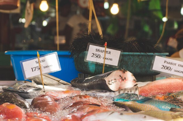 Foto nahaufnahme von fisch zum verkauf auf dem markt