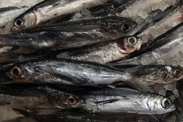 Nahaufnahme von Fisch zum Verkauf auf dem Markt