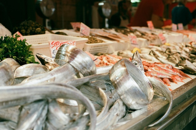 Nahaufnahme von Fisch zum Verkauf auf dem Markt