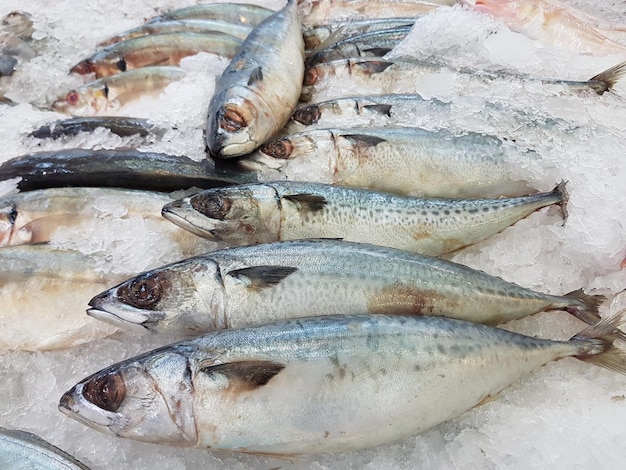 Nahaufnahme von Fisch zum Verkauf auf dem Markt