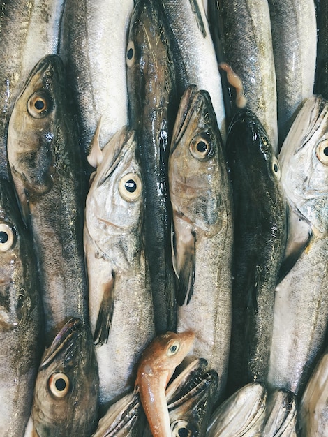 Nahaufnahme von Fisch zum Verkauf auf dem Markt