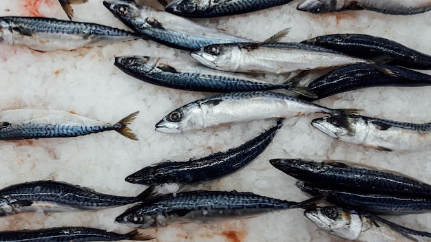 Nahaufnahme von Fisch zum Verkauf auf dem Markt