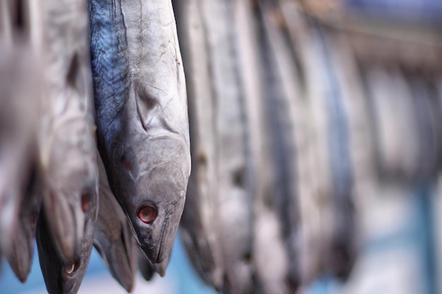 Nahaufnahme von Fisch zum Verkauf