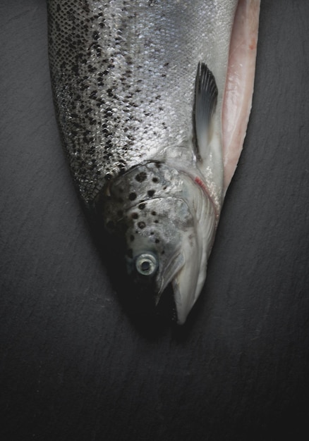 Nahaufnahme von Fischen auf dem Tisch