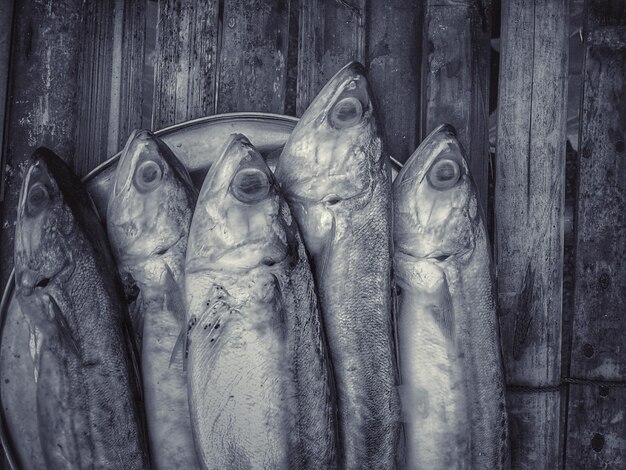 Nahaufnahme von Fischen auf Holz