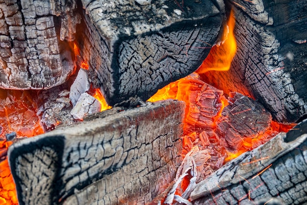 Nahaufnahme von Flammen, Feuer mit Asche, Baumstämmen, Holz. Selektiver Fokus