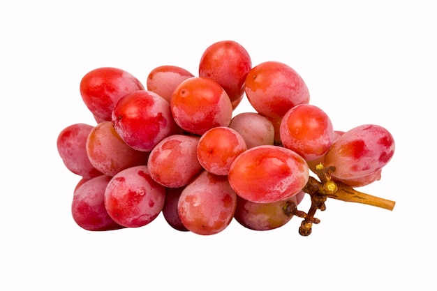 Nahaufnahme von frischen Beeren gegen weißen Hintergrund