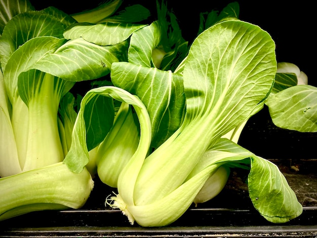 Nahaufnahme von frischen grünen Blättern von Baby Bok Choy