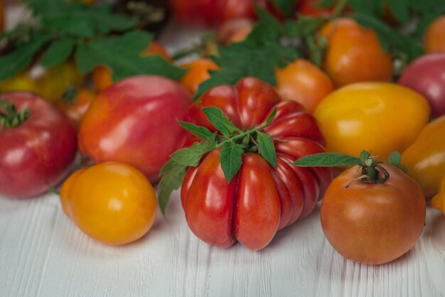 Nahaufnahme von frischen reifen Tomaten auf Holztisch Tomaten auf weißer Holzoberfläche