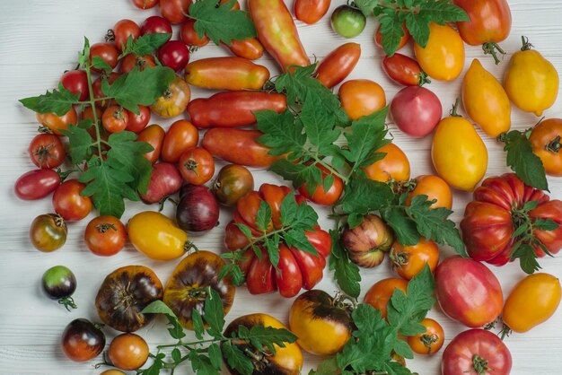 Nahaufnahme von frischen reifen Tomaten auf Holztisch Tomaten auf weißer Holzoberfläche