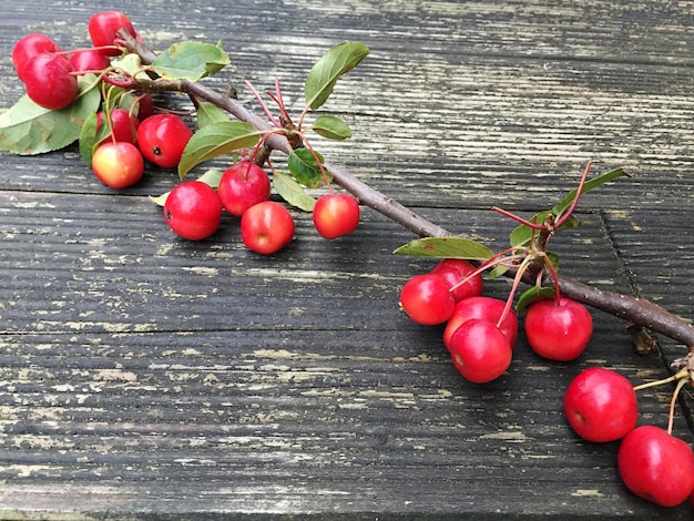 Foto nahaufnahme von früchten auf dem tisch