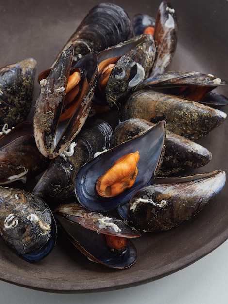 Foto nahaufnahme von gedämpften muscheln, eine in der halben schale mit köstlichem orangefarbenem fleisch