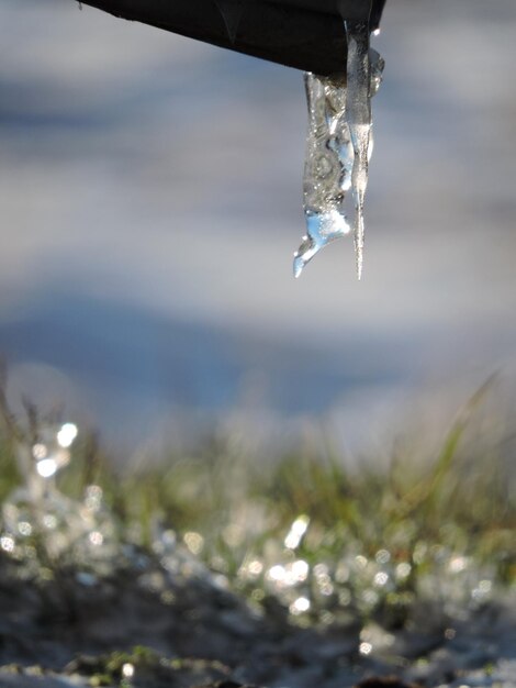 Foto nahaufnahme von gefrorenem wasser