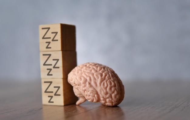 Nahaufnahme von Gehirn und Holzwürfeln mit Schlaf-Ikonen Müdiges Schlafkonzept