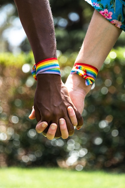 Nahaufnahme von gemischtrassigen lesbischen Paaren, die Händchen halten mit unscharfem Hintergrund Vertikale LGBT-Liebe