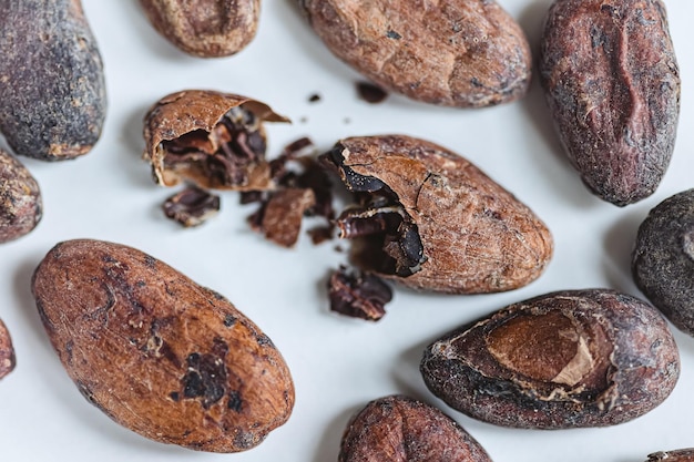 Nahaufnahme von gerösteten Kakaobohnen Shallow dof