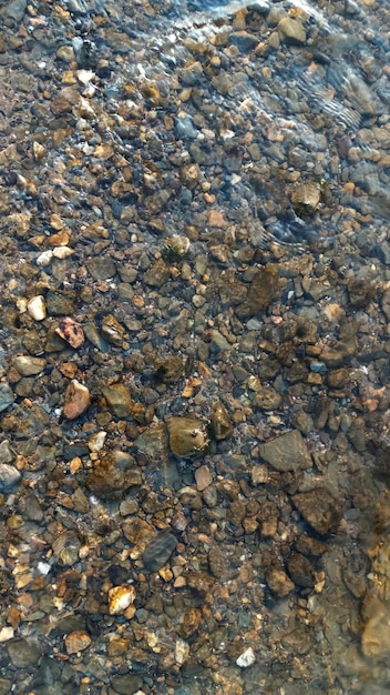 Nahaufnahme von glatten runden Kieselsteinen am Strand