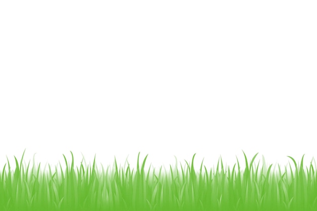 Nahaufnahme von grünen Grasblättern vor weißem Hintergrund