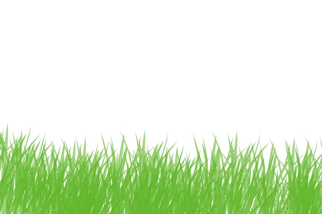 Nahaufnahme von grünen Grasblättern vor weißem Hintergrund