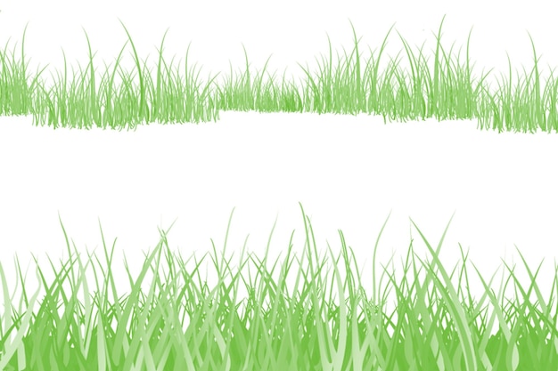 Nahaufnahme von grünen Grasblättern vor weißem Hintergrund