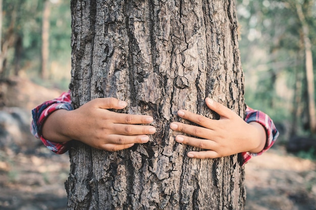 Nahaufnahme von Händen, die einen Baum umarmen