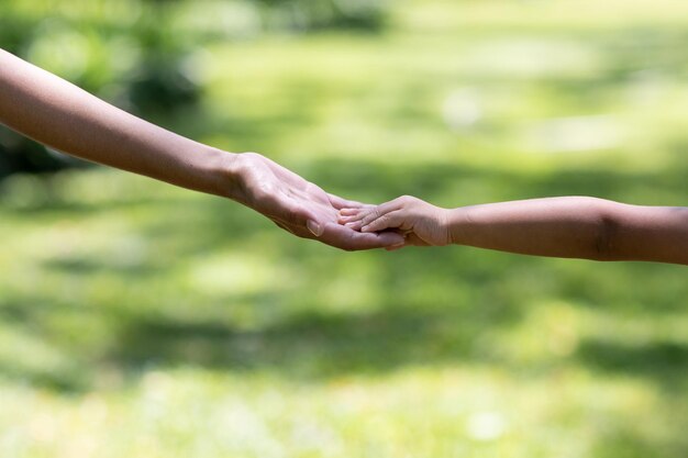 Nahaufnahme von Hand in Hand im Freien