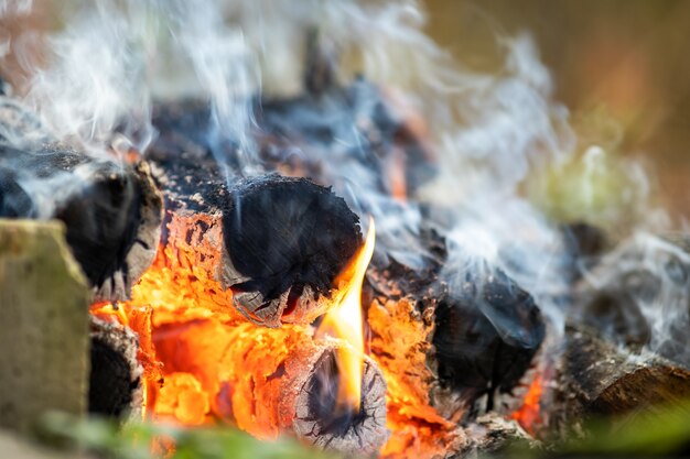 Foto nahaufnahme von hell brennenden holzstämmen mit gelben heißen feuerflammen.