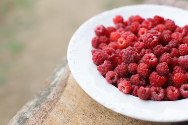 Nahaufnahme von Himbeeren in einer Schüssel auf dem Tisch