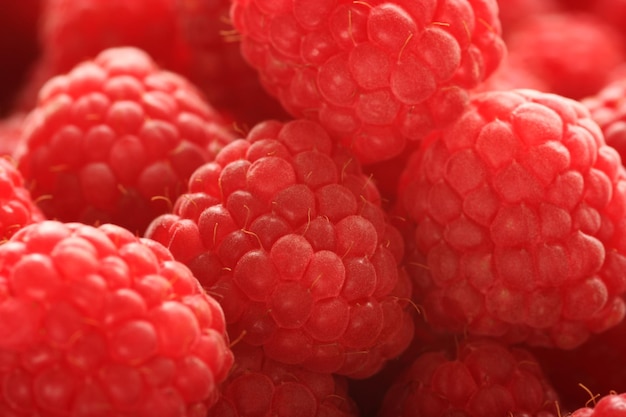 Nahaufnahme von Himbeeren