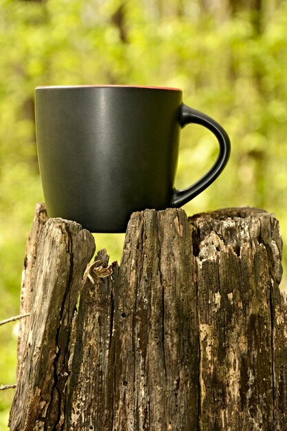 Foto nahaufnahme von holz gegen baumstamm