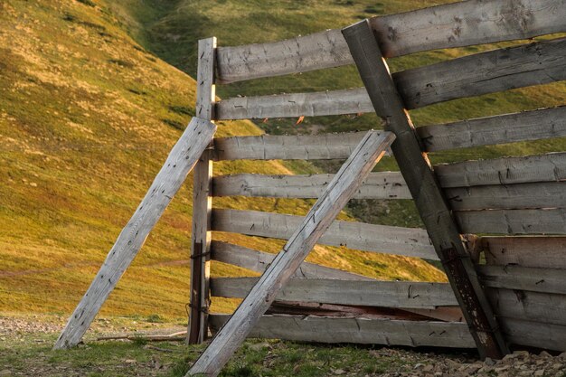 Foto nahaufnahme von holz