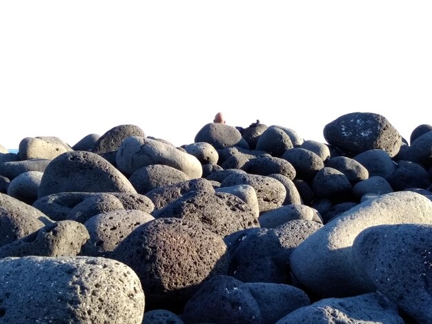 Foto nahaufnahme von kieselsteinen am strand vor klarem himmel