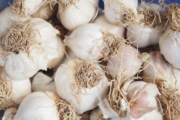 Nahaufnahme von Knoblauch auf weißem Hintergrund