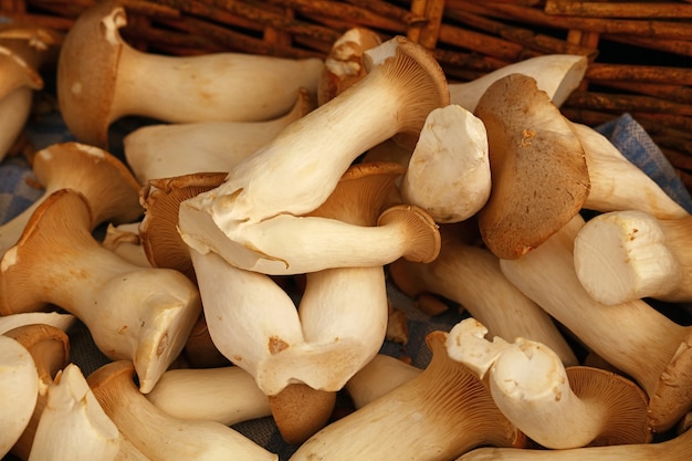 Nahaufnahme von Königsausternpilzen (Pleurotus eryngii, auch bekannt als braune Trompete oder Waldhornpilze) in einem Weidenholzkorb im Einzelhandelsdisplay, hohe Betrachtungswinkel