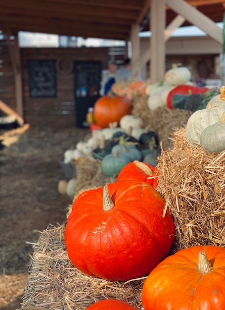 Foto nahaufnahme von kürbissen auf dem markt