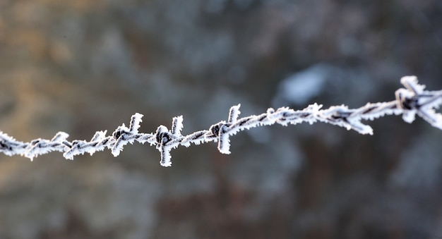 Nahaufnahme von mattiertem Stacheldraht mit Eiskristallen