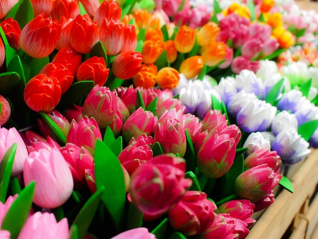 Foto nahaufnahme von mehrfarbigen blumen im garten