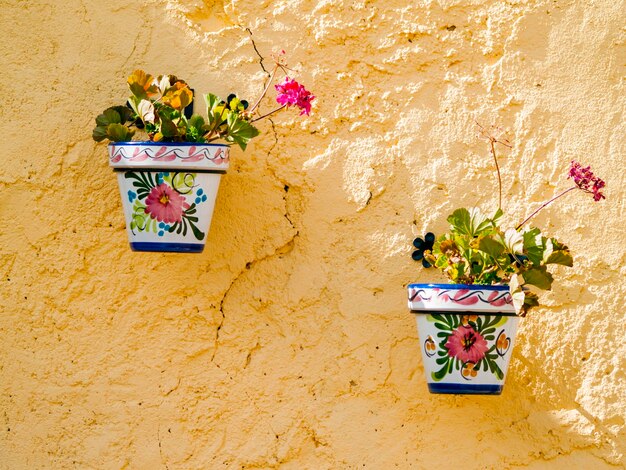 Foto nahaufnahme von mehrfarbigen blumen in einer vase