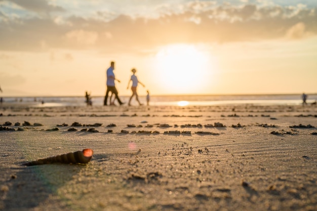 Nahaufnahme von Muscheln am tropischen Strand Muscheln am Strand mit Sonnenuntergang und Passanten