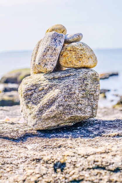 Foto nahaufnahme von muscheln auf einem felsen am strand