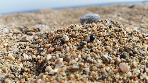Nahaufnahme von Muscheln auf Sand