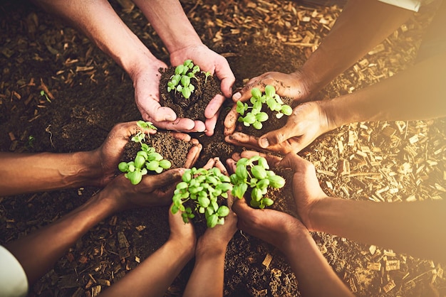 Foto nahaufnahme von oben und hände mit bodenpflanzen und landwirtschaft mit wachstumsumgebung und natur zoomen sie menschen und erde mit nachhaltigkeit, recyceln sie und lassen sie sie mit umweltfreundlicher natur und landwirtschaft zurück